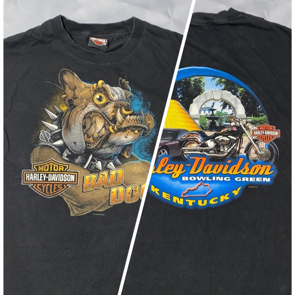 Harley Davidson Bad Dog Bowling Green KY Motorcycle Biker T Shirt Sz M